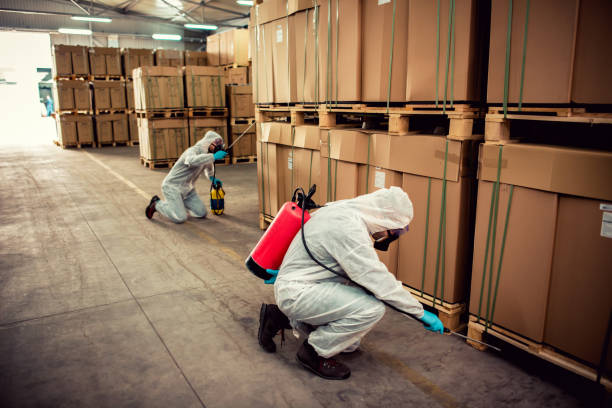 Best Mosquito Control Services  in Lakeland, NY