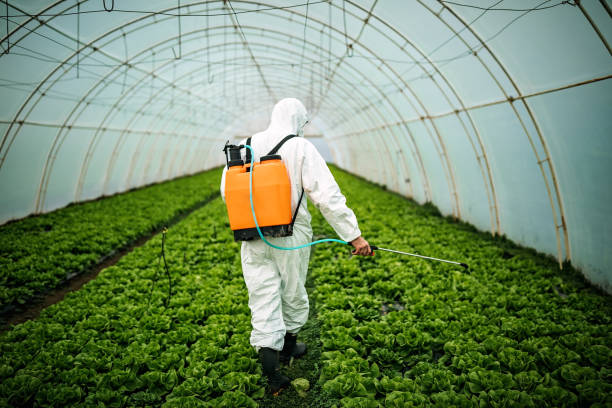 Best Affordable Pest Control Services  in Lakeland, NY