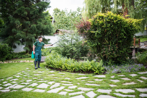 Best Affordable Pest Control Services  in Lakeland, NY