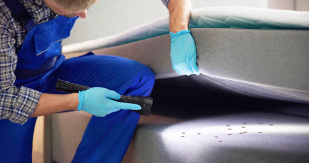 Best Rat Extermination Near Me  in Lakeland, NY