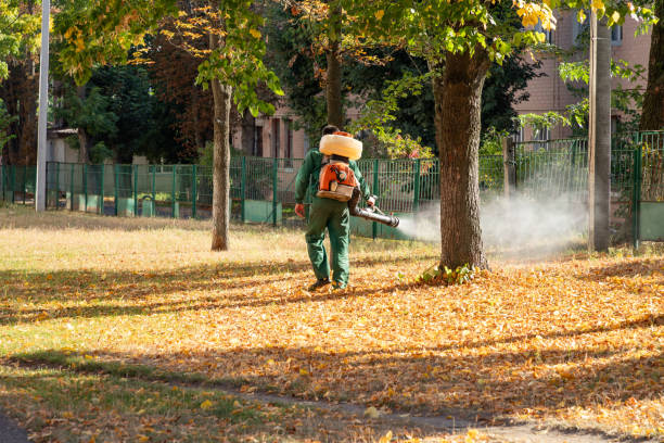 Trusted Lakeland, NY Pest Control Experts