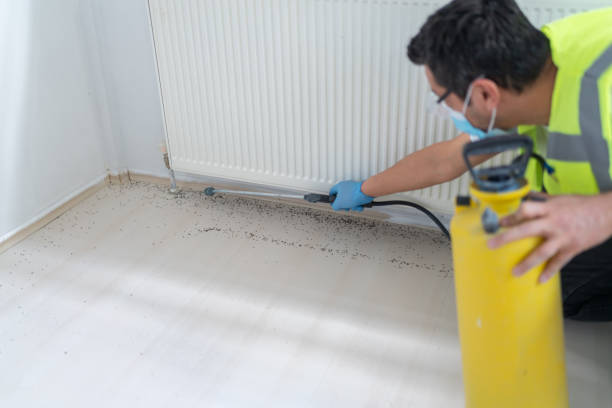 Best Wasp Removal Services  in Lakeland, NY
