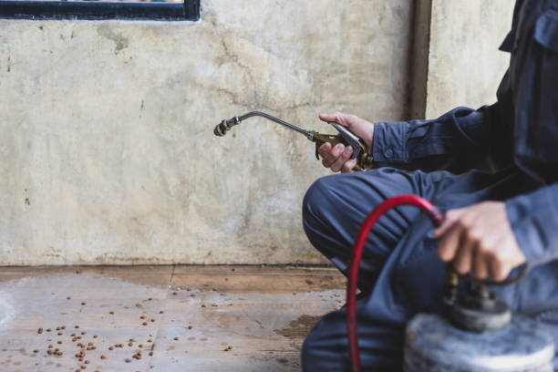 Best Affordable Pest Control Services  in Lakeland, NY